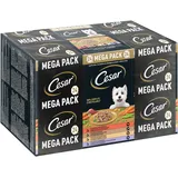 Cesar Schale Multipack Landragout Variatäten 24 x 150 g