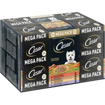 Cesar Schale Multipack Landragout Variatäten 24 x 150 g