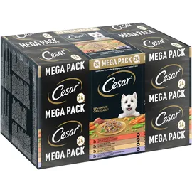 Cesar Schale Multipack Landragout Variatäten 24 x 150 g