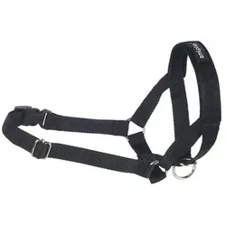 Amiplay Halfter Basic M (N3) Cocker Spaniel Schwarz