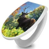 Banjado Toilettendeckel Mit Absenkautomatik WC-Sitz Soft Close Weiß Hygienischer Duroplast Leichte Montage Mit Motiv Hirsch