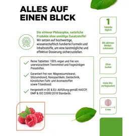 Vit4ever Vitamin B12 Lutschtabletten 365 St.