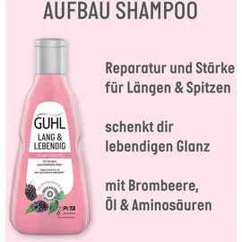 Guhl Lang und Lebendig Aufbau Shampoo 250 ml