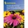 Kiepenkerl Echinacea purpurea Sonnenhut Roter Leuchtstern