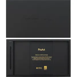 Asus ProArt PA169CDV 15,6" schwarz