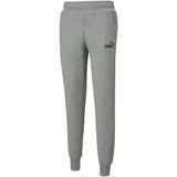 Puma Essentials Logo Pants FL cl medium gray heather XL