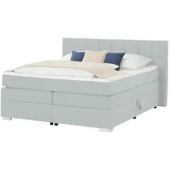 Boxspringbett  Kex 2.0 ¦ grau ¦ Maße (cm): B: 202 H: 111