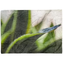 Sinus Art Handtücher Handtuch Strandhandtuch Saunatuch Kuscheldecke mit Fotomotiv Bogenhanf Nahaufna, Baumwolle-Polyester-Mix (1-St), Handtuch 50 cm x 100 cm