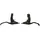 Shimano BL-T4000 Bremshebel Set schwarz 2022 Scheibenbremshebel schwarz