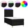 vidaXL Boxspringbett 100 x 200 cm Schwarz