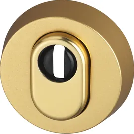 ABUS Schutzrosette RHZS415 F3 grau