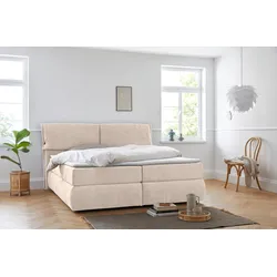 Boxspringbett ANDAS "Jenson", beige, B:208cm L:225cm, Struktur weich (85% Polyester/15% Nylon), Komplettbetten, Boxspringbett, in 4 Farben, 4 Breiten, 3 Matratzenarten in 2 Härtegraden, Topper