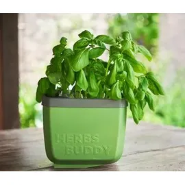 Gusta Garden Herbs Buddy 15,3 x 14,8 x 14 cm Dunkelgrün Komplettset