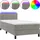 vidaXL Boxspringbett mit Matratze & LED Hellgrau 80x200 cm Samt