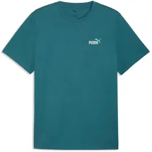 Puma Graphics 2 Color Small No. 1 Logo Tee emerald ice L