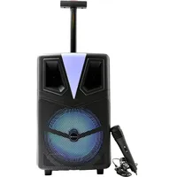 Denver TSP-307 Bluetooth® Lautsprecher tragbar, USB, SD, inkl. Halterung,