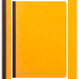 Exacompta 17020E Mehrkolonnenheft 2 Spalten 1 Seite 34 Zeilen 40 Blatt, 110g, A4 80 Seiten