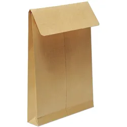 Clairefontaine 125x 250 Dehnb Tasche 275x365x30 Kraft- Braun 13056C