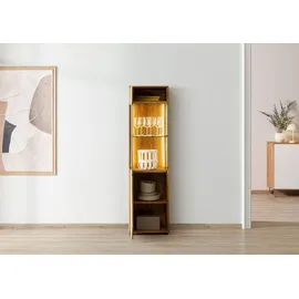 MASSIVMOEBEL24.DE Vitrine Wildeiche 45 x 38 x 168 cm Weiß