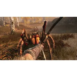 The Elder Scrolls V: Skyrim (USK) (Nintendo Switch)