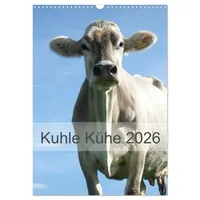 Calvendo Kuhle Kühe 2026 (Wandkalender 2026 DIN A3 hoch),