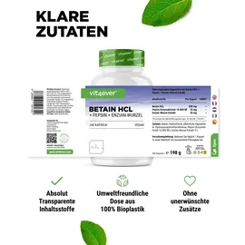 Vit4ever Betain HCL Kapseln 240 St.