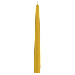 Kopschitz Kerzen Spitzkerzen Senf Mustard 24 x 2,3 cm, 12 Stück