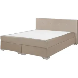 Boxspringbett Samtstoff CONSUL 160 x 200 cm Hellbeige