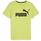 Puma Jungen ESS Logo Tee B 164