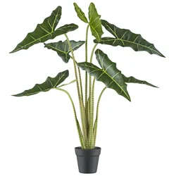 CREATIV green künstliche Pflanze Alocasia zebrina Sarian, 100cm
