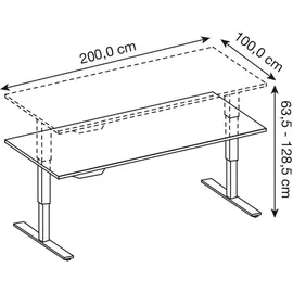 Hammerbacher XDSM2E elektrisch höhenverstellbarer Schreibtisch lichtgrau rechteckig, T-Fuß-Gestell silber 200,0 x 100,0 cm