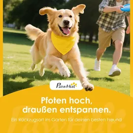 PawHut Hundehütte aus Holz Kleintierhaus Hundehaus mit Terrasse für draußen