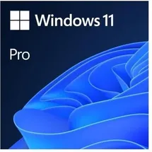 Microsoft Windows 11 Pro DVD PL