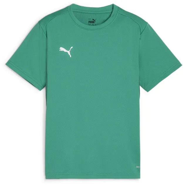 Puma teamGOAL Trainingsshirt Kinder - grün-164