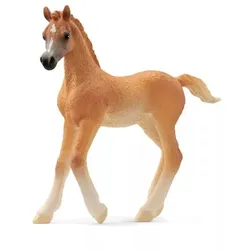 Schleich Horse Club: Araber Fohlen Figur 13984