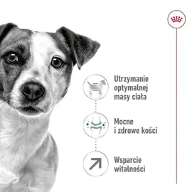 Royal Canin Mini Adult 8+ 800 g