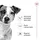 Royal Canin Mini Adult 8+ 800 g