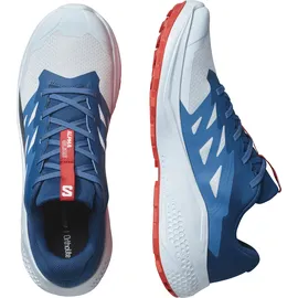 Salomon Alphaglide Herren Blau 44