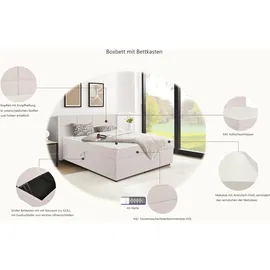 OTTO home Fillmore 180 x 200 cm Beige