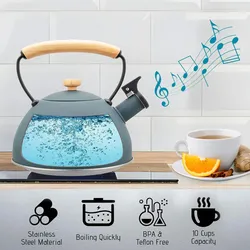 Briebe Nordic Wasserkessel Induktion Flötenkessel 2,5L Edelstahl, Holzgriff, Grau