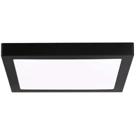 Paulmann LED Panel Abia eckig 300x300mm 4000K Schwarz