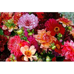 Fototapete PAPERMOON "BUNTE BLUMEN-STRAUß-DEKOR MUSTER PFLANZE ORCHIDEE RETRO", bunt, B:3,50m L:2,60m, Vlies, Tapeten