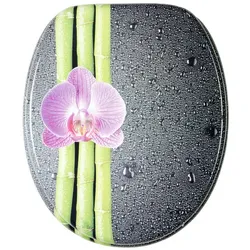 Sanilo WC-Sitz, BxL: 37,7 x 47 cm, Asia - grau