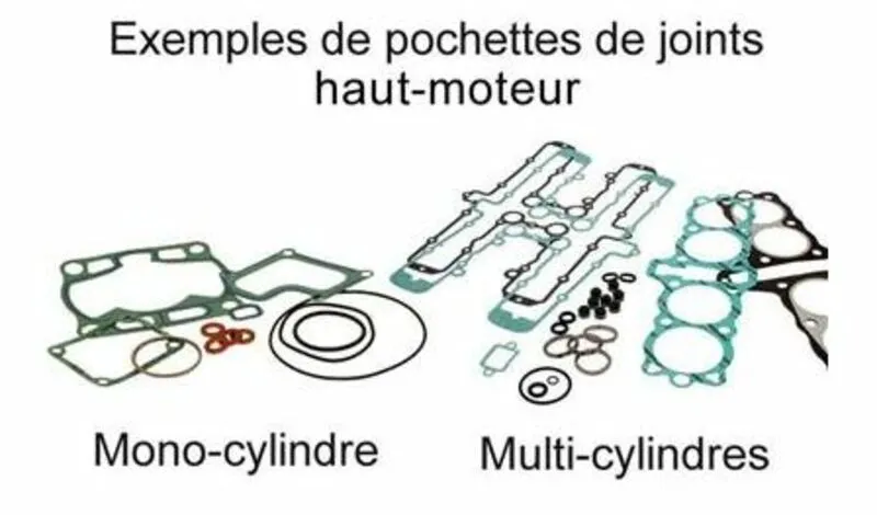 Centauro Hohe Motordichtung