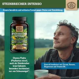 Scheunengut Scheunengut® Steinbrecher Intenso | Die Original Nierenstein-Formel aus der TCM Chanca Piedra 120 St