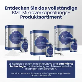 Biostile Curcumin Kapseln 60 St.