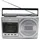 Soundmaster RR20SI silber