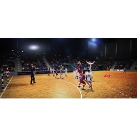 IHF Handball Challenge 12 (PC)