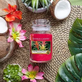 Yankee Candle Tropical Jungle große Kerze 623 g