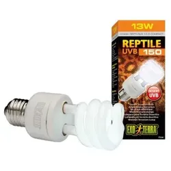 Exo Terra Reptil 10.0 Wüstenlampe E27 13 W